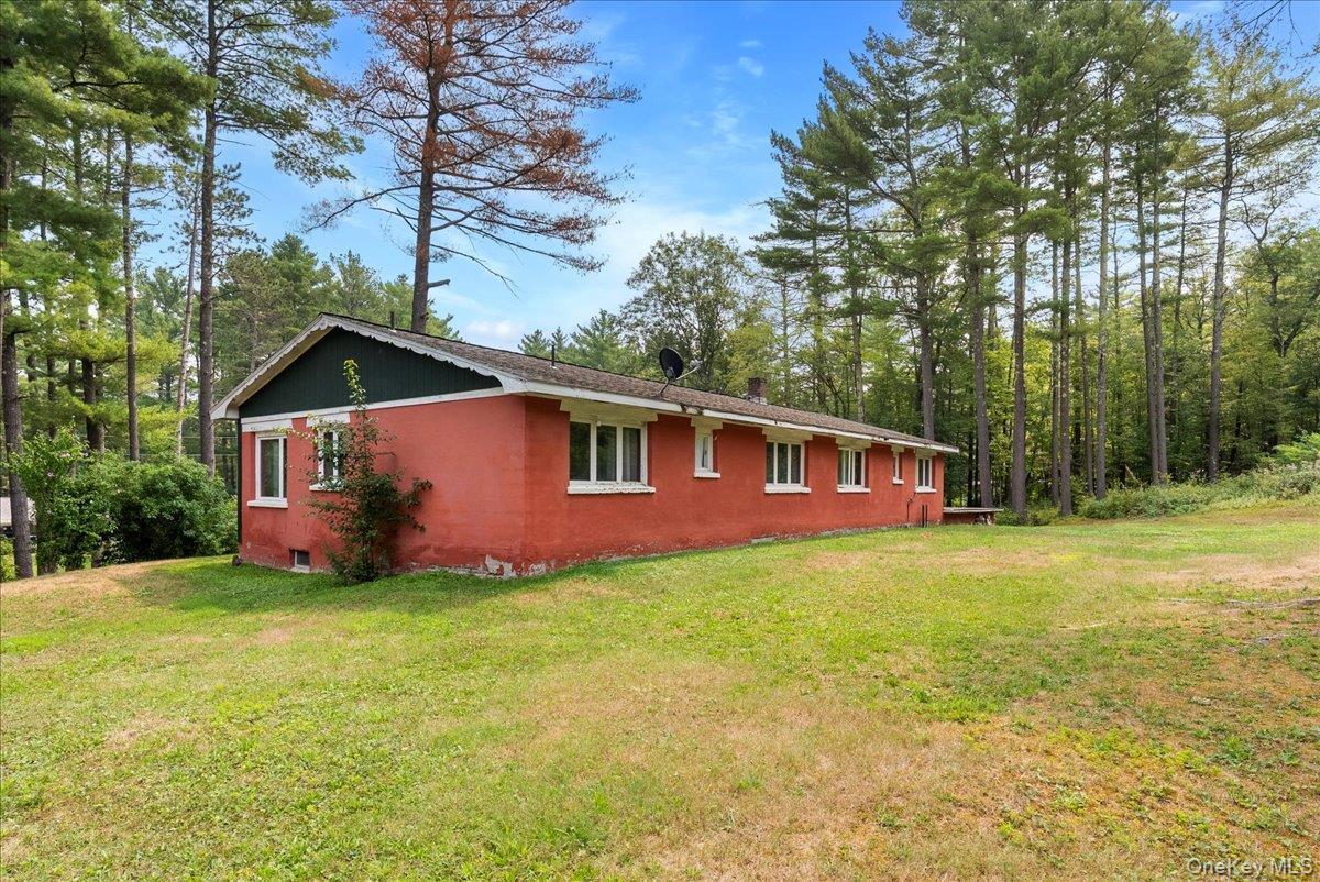 Single Family Alpine Drive  Greene County, NY 12473, MLS-1028987-2