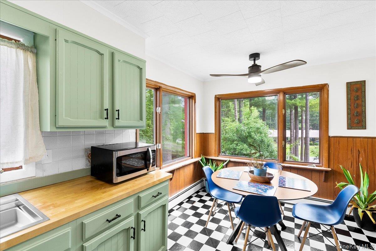 Single Family Alpine Drive  Greene County, NY 12473, MLS-1028987-25