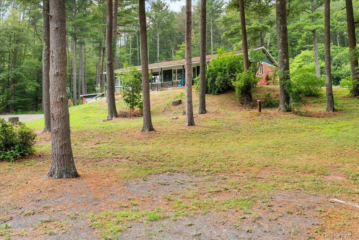 Single Family Alpine Drive  Greene County, NY 12473, MLS-1028987-35