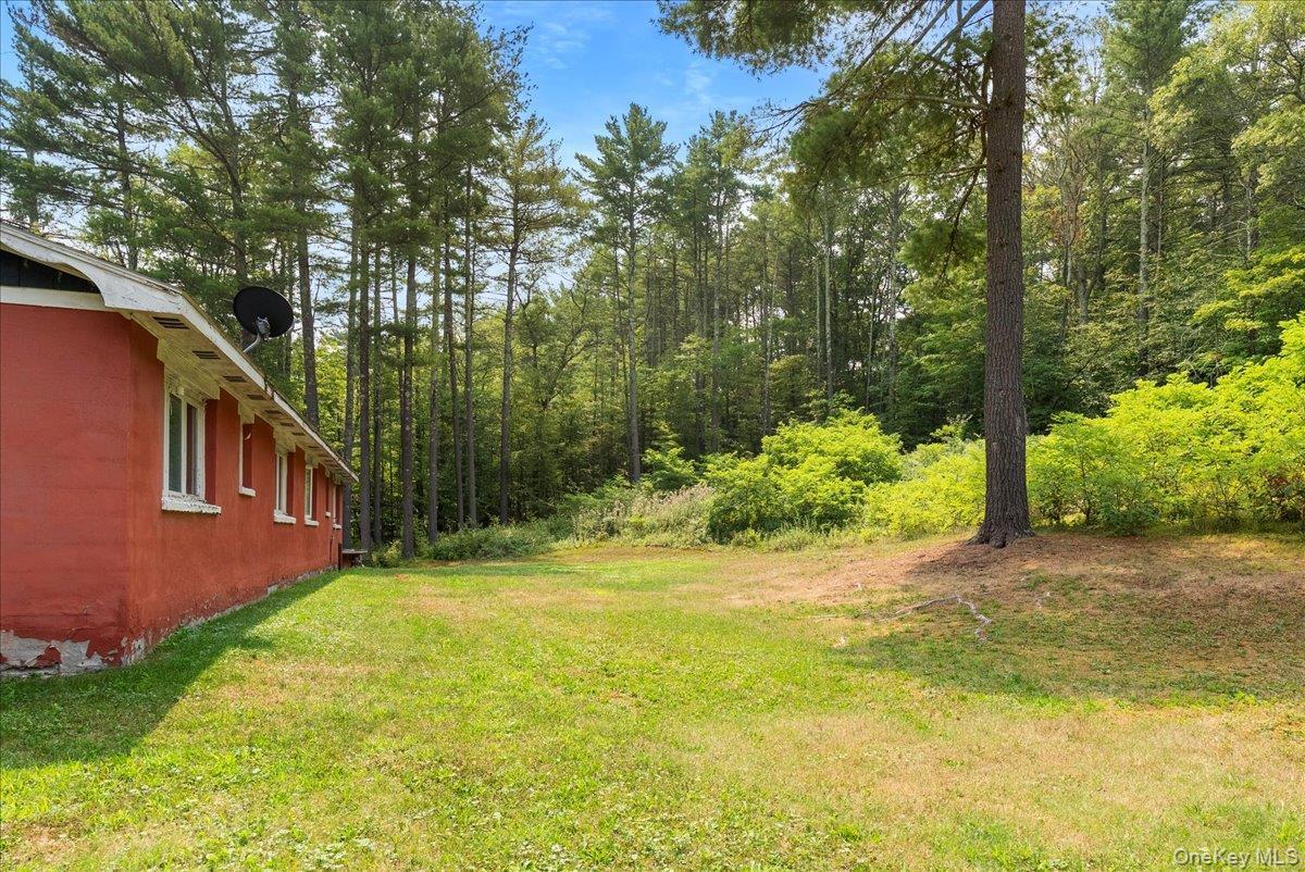 Single Family Alpine Drive  Greene County, NY 12473, MLS-1028987-38