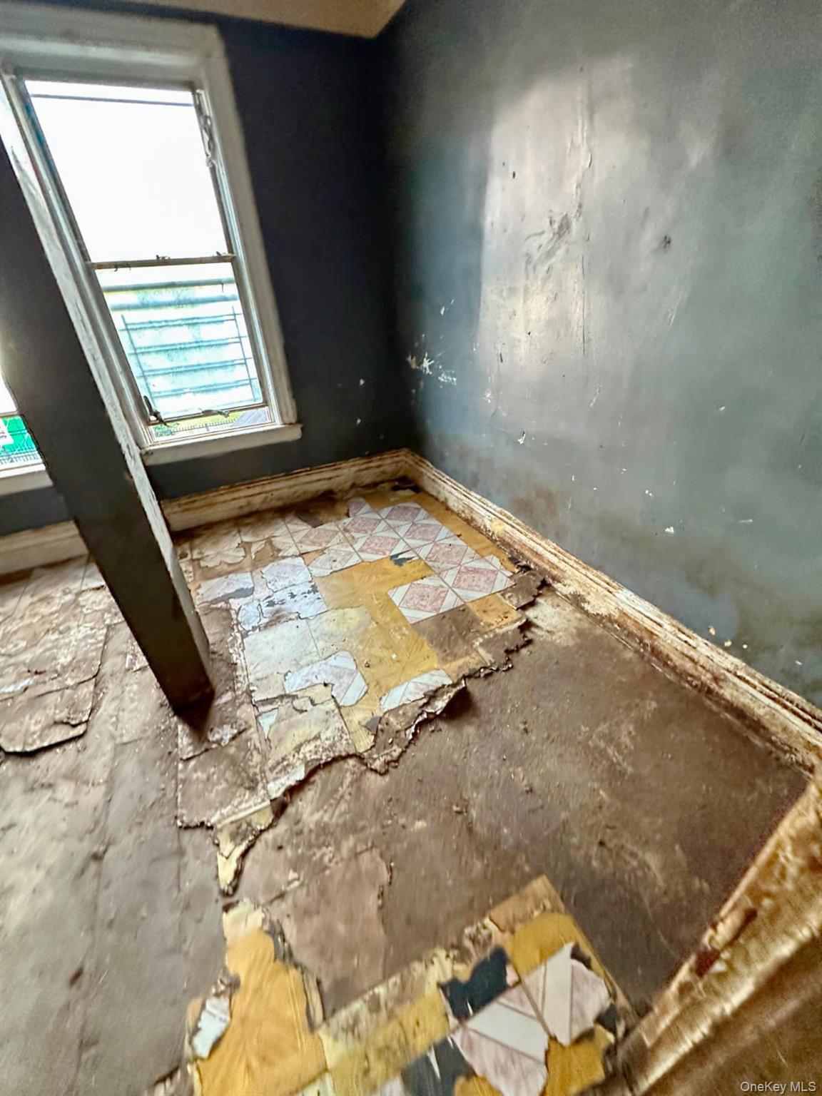 Single Family Clay Avenue Bronx, NY 10456, MLS-1028995-10