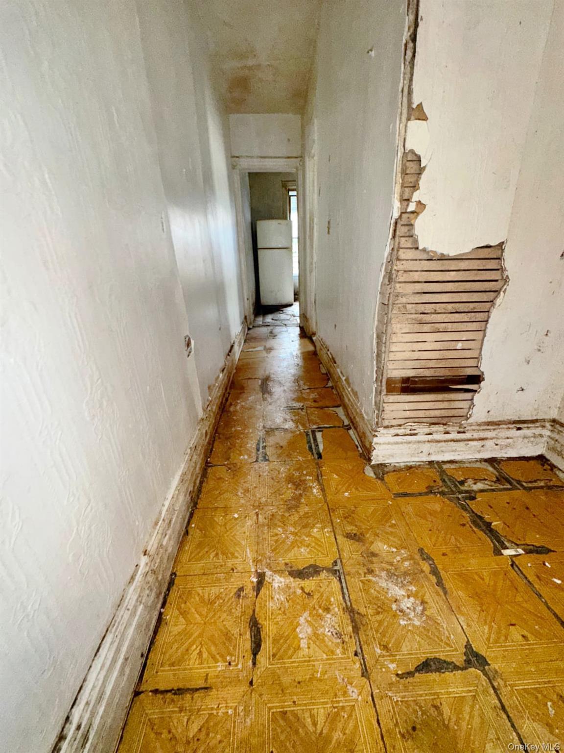 Single Family Clay Avenue Bronx, NY 10456, MLS-1028995-12