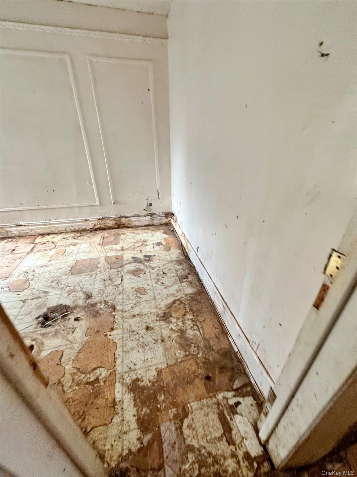 Single Family Clay Avenue Bronx, NY 10456, MLS-1028995-13
