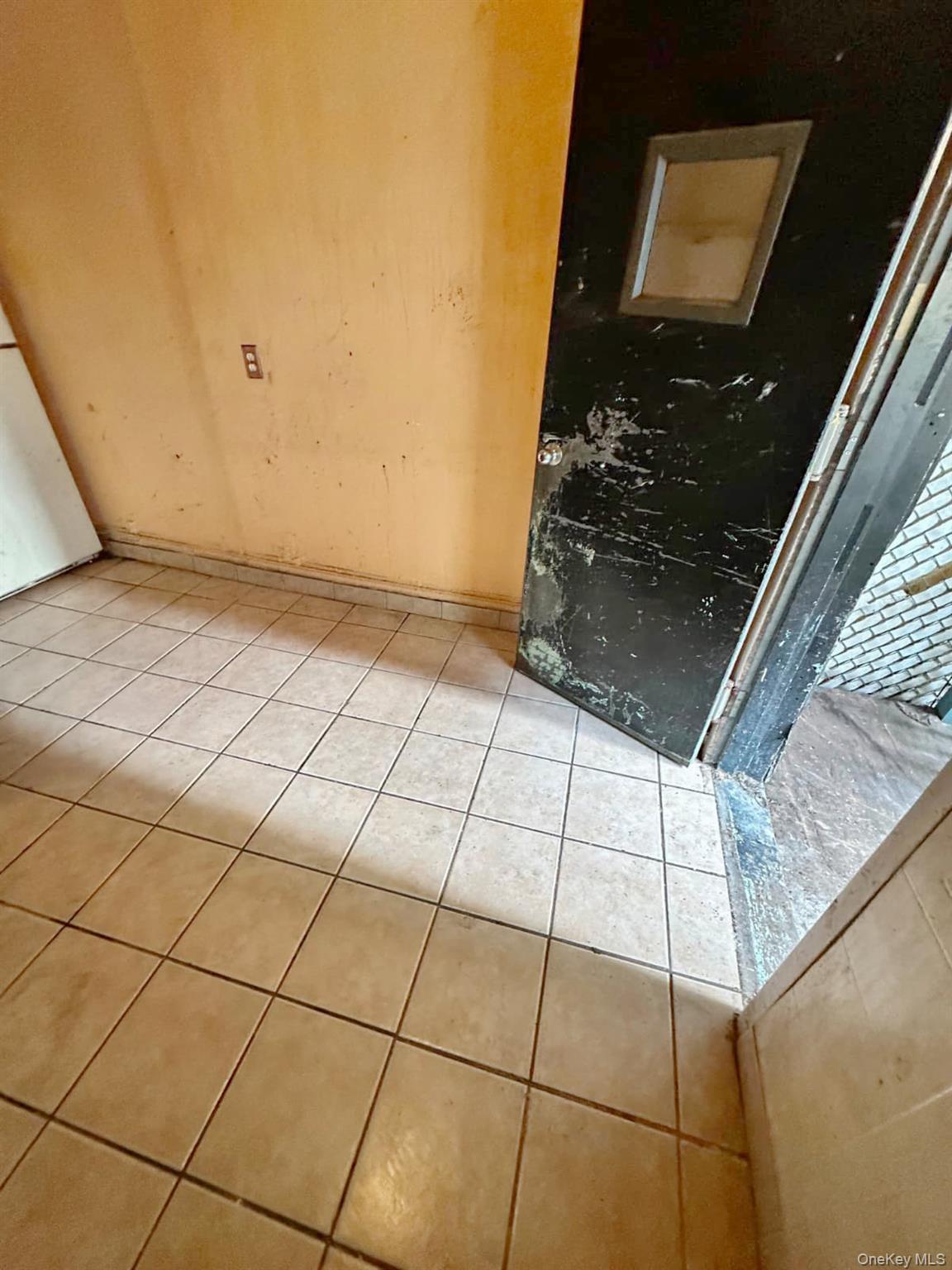 Single Family Clay Avenue Bronx, NY 10456, MLS-1028995-15