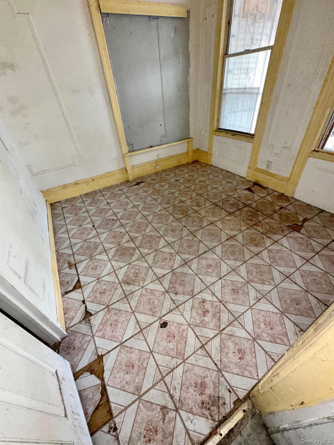 Single Family Clay Avenue Bronx, NY 10456, MLS-1028995-24