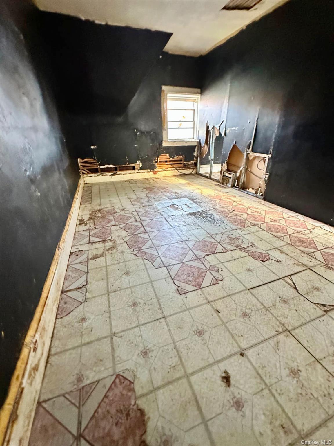 Single Family Clay Avenue Bronx, NY 10456, MLS-1028995-4