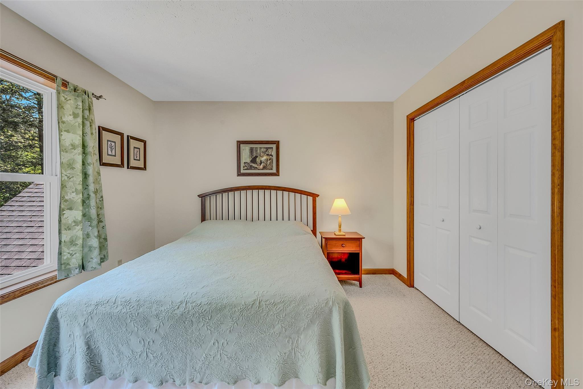 Single Family Road Out Of Area, NY 18424, MLS-1029015-39