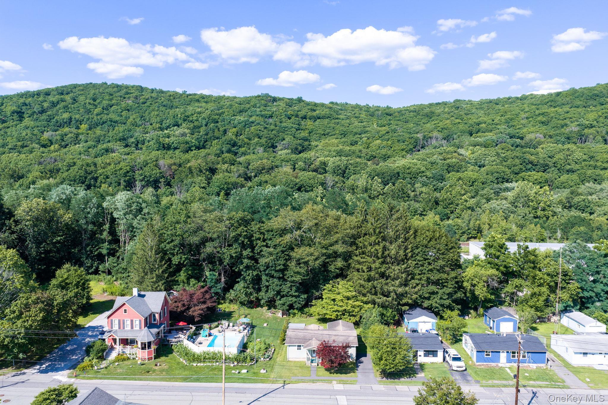 Single Family Erie Street Orange County, NY 12771, MLS-1029030-2