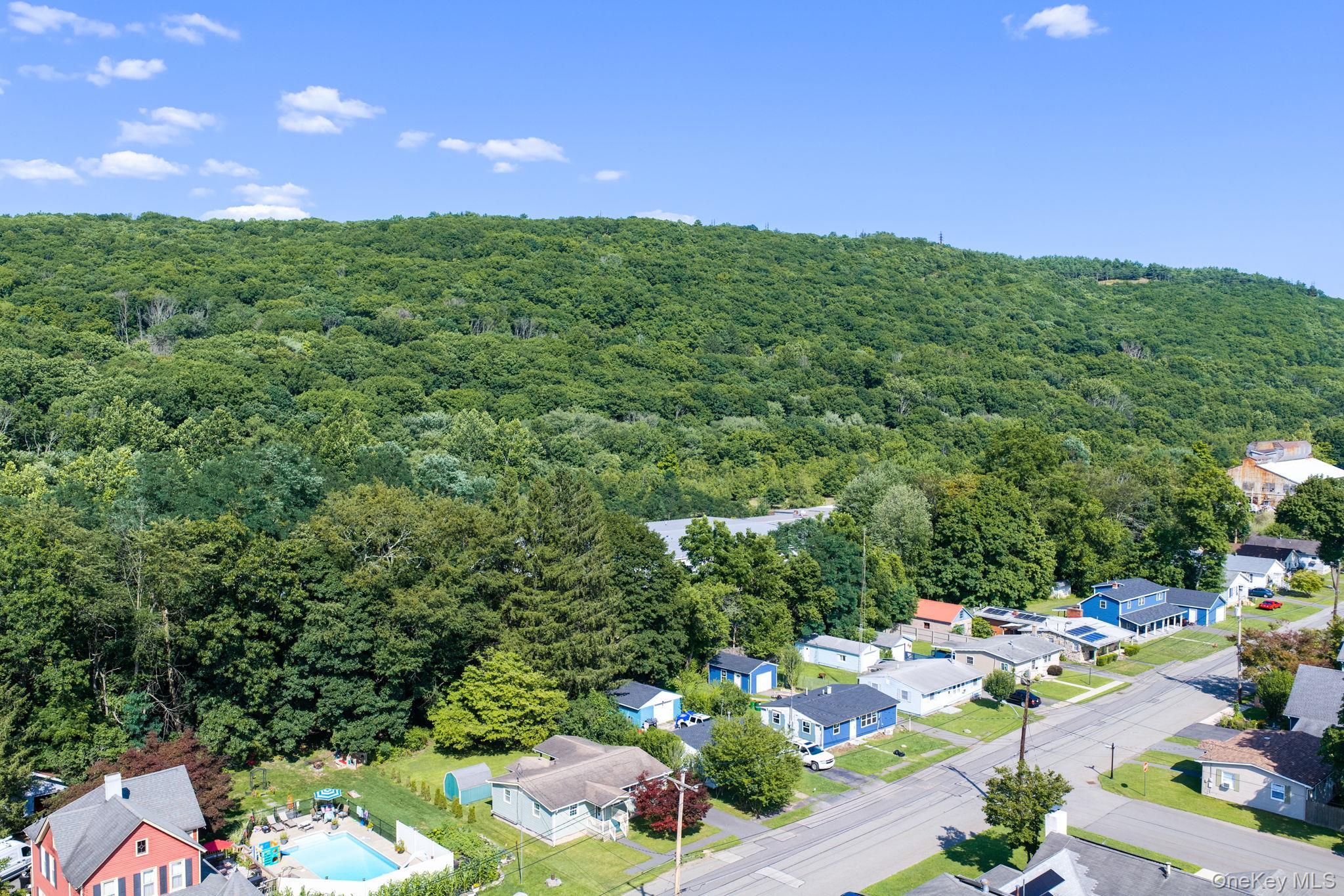 Single Family Erie Street Orange County, NY 12771, MLS-1029030-23