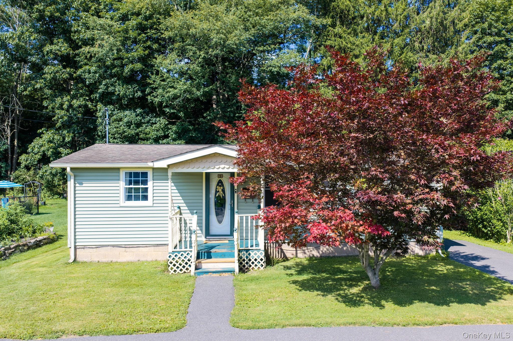 Single Family Erie Street Orange County, NY 12771, MLS-1029030-3