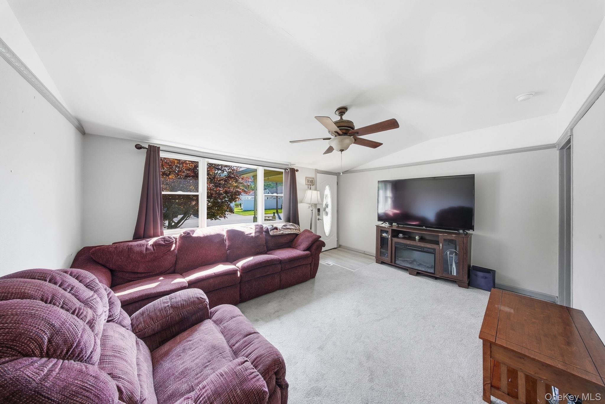 Single Family Erie Street Orange County, NY 12771, MLS-1029030-7