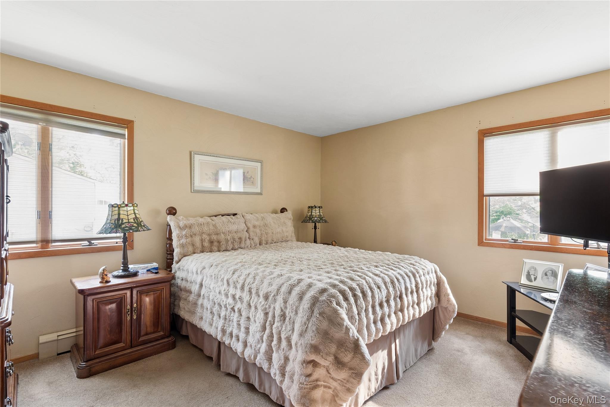 Single Family Timber Drive Suffolk County, NY 11933, MLS-1029041-11