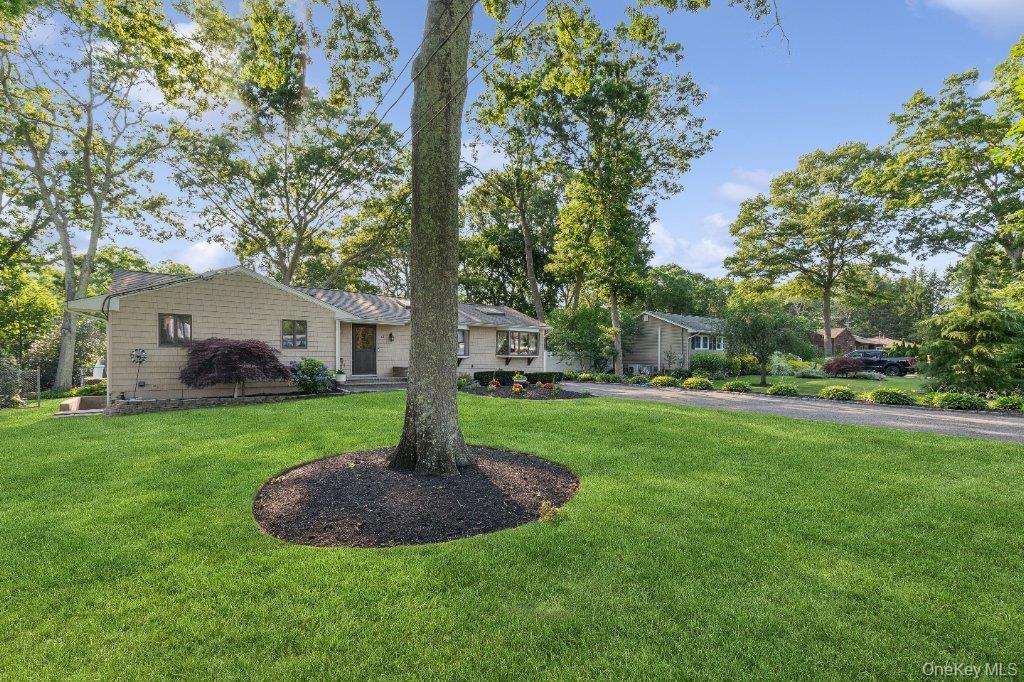 Single Family Timber Drive Suffolk County, NY 11933, MLS-1029041-27