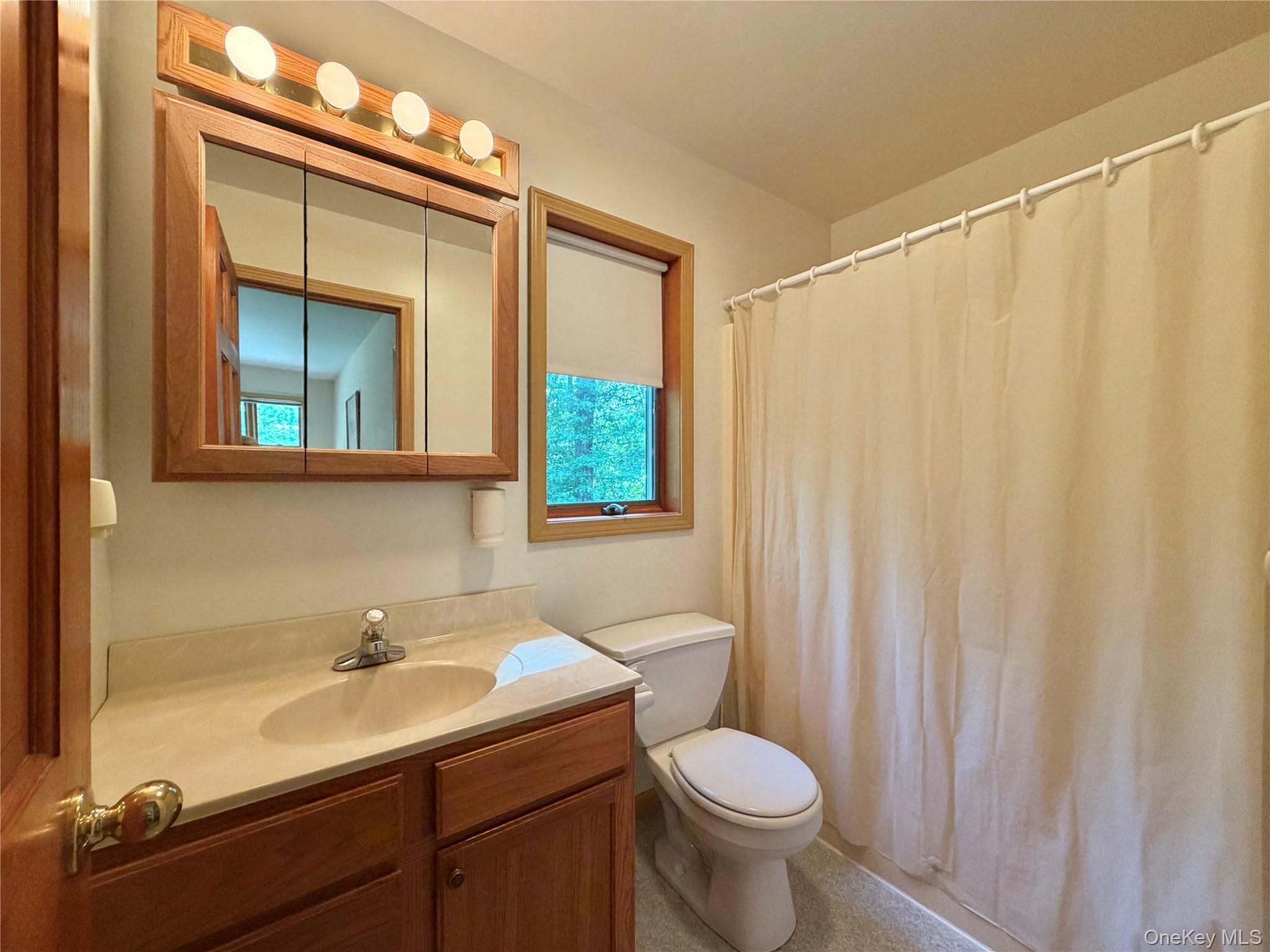 Single Family Decker Road Ulster County, NY 12589, MLS-1029088-13