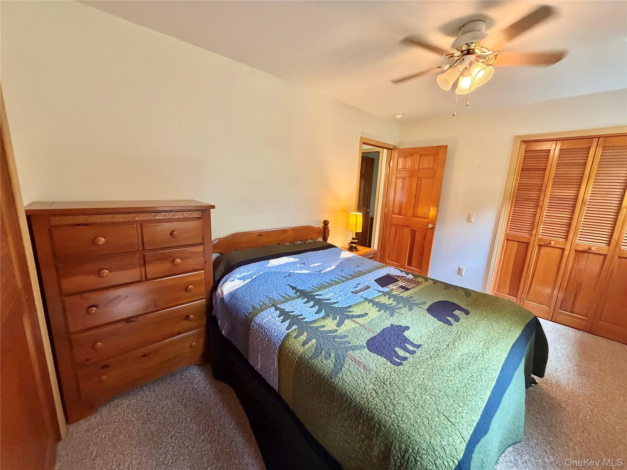 Single Family Decker Road Ulster County, NY 12589, MLS-1029088-16