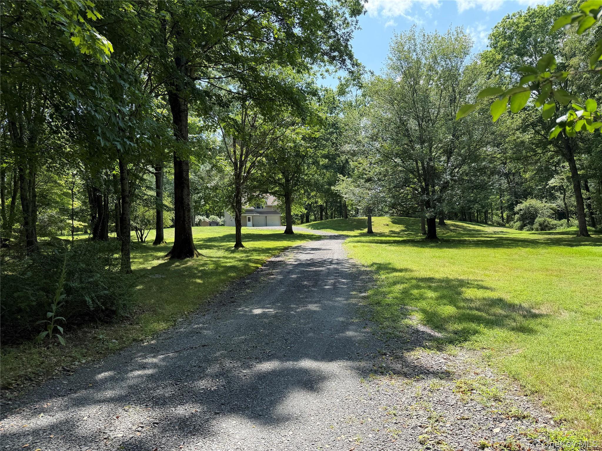 Single Family Decker Road Ulster County, NY 12589, MLS-1029088-19