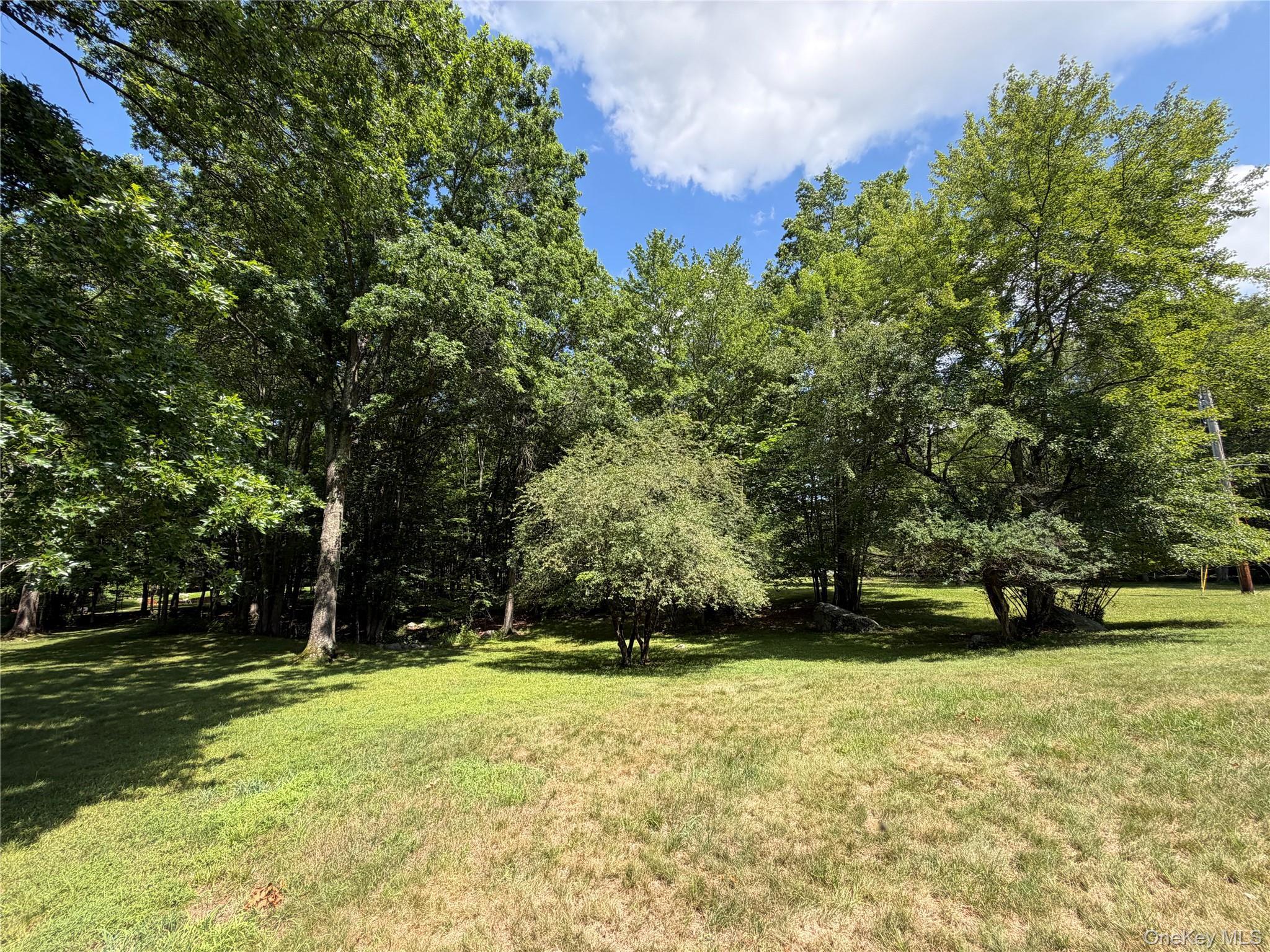 Single Family Decker Road Ulster County, NY 12589, MLS-1029088-26