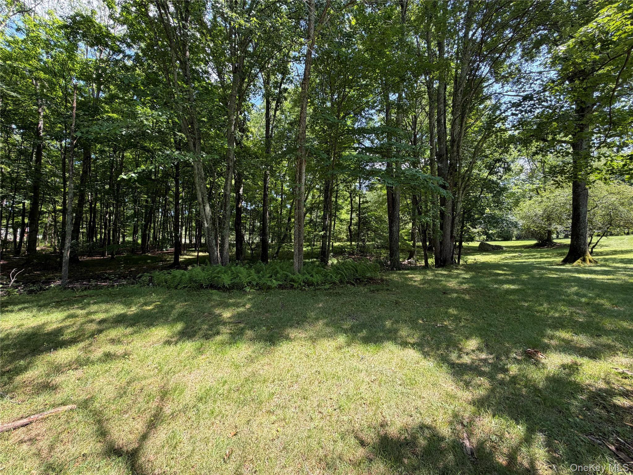 Single Family Decker Road Ulster County, NY 12589, MLS-1029088-27