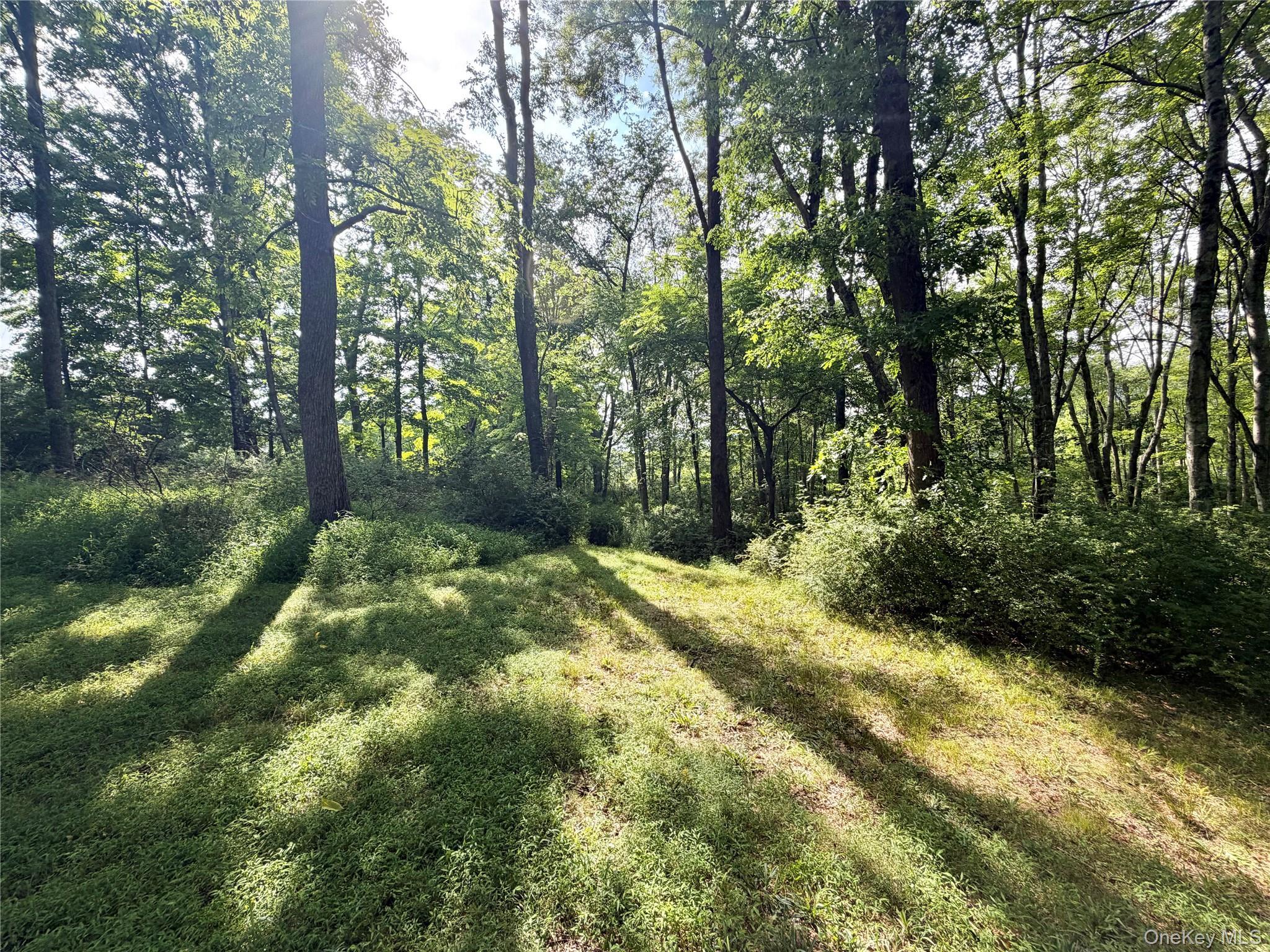 Single Family Decker Road Ulster County, NY 12589, MLS-1029088-31