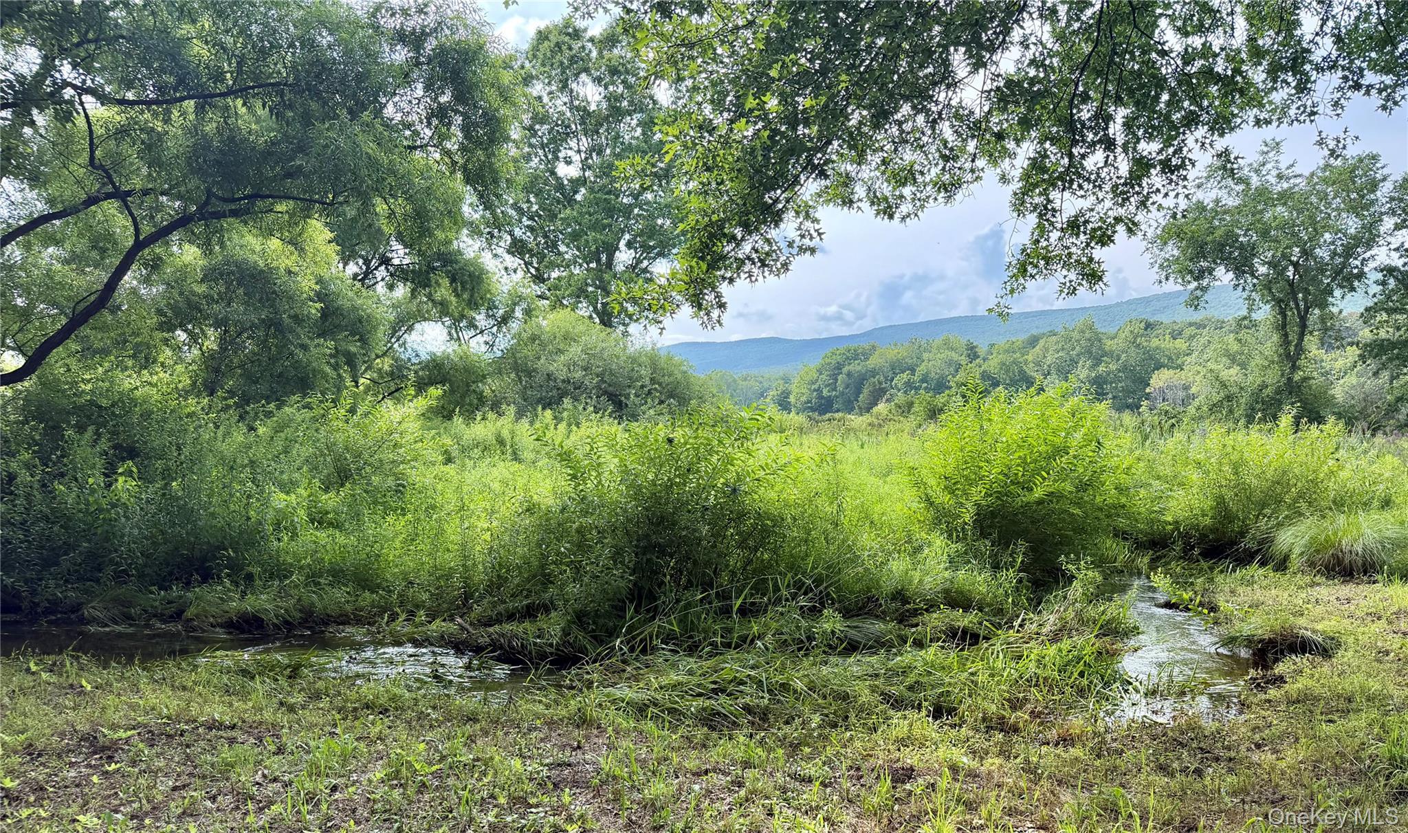 Single Family Decker Road Ulster County, NY 12589, MLS-1029088-32