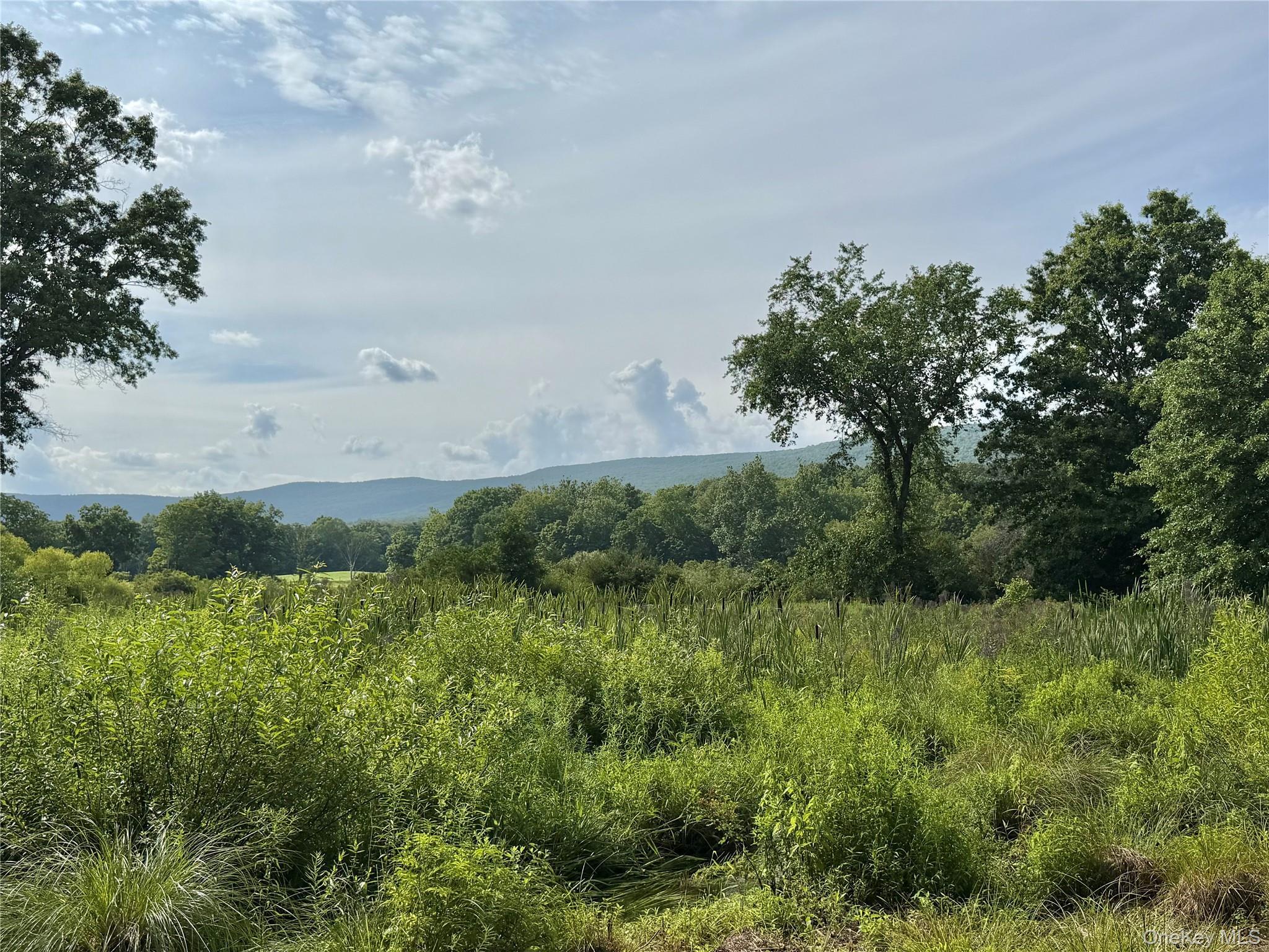 Single Family Decker Road Ulster County, NY 12589, MLS-1029088-33
