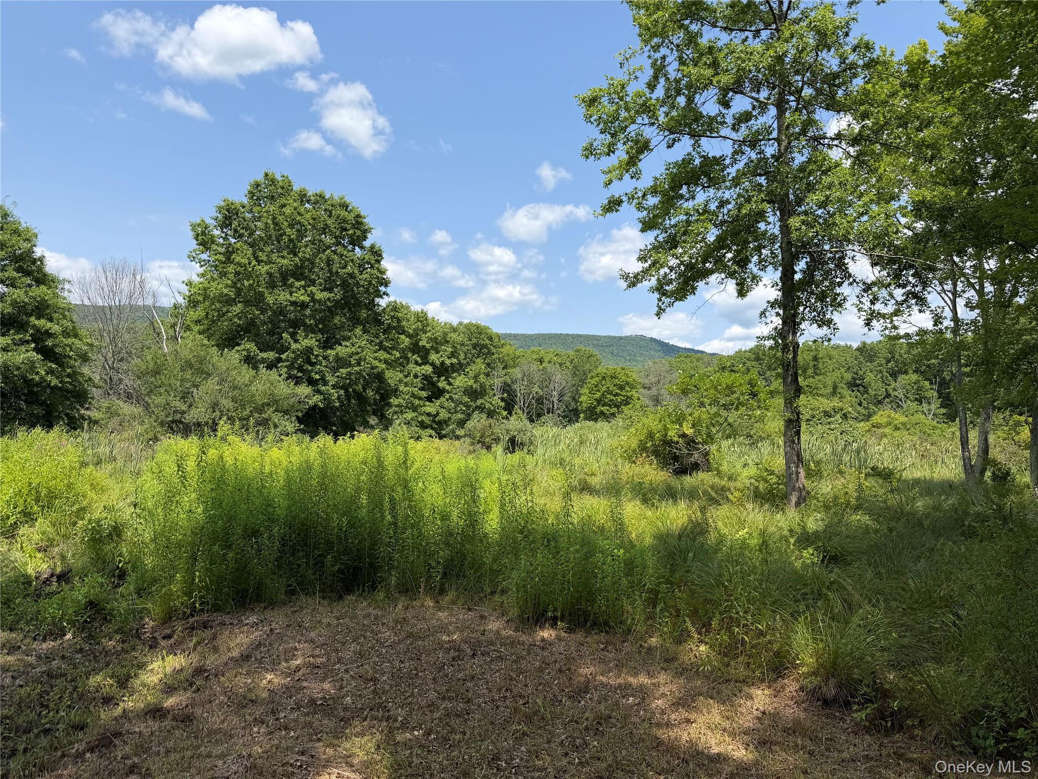 Single Family Decker Road Ulster County, NY 12589, MLS-1029088-34