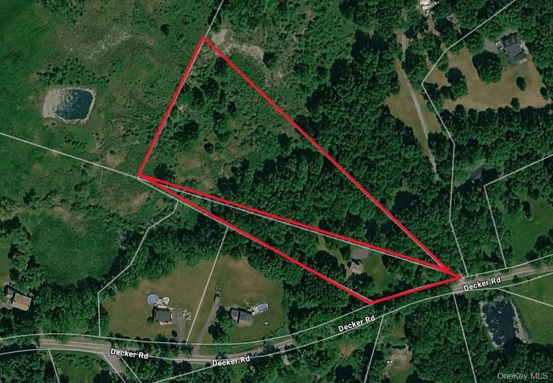 Single Family Decker Road  Ulster County, NY 12589, MLS-1029088-38