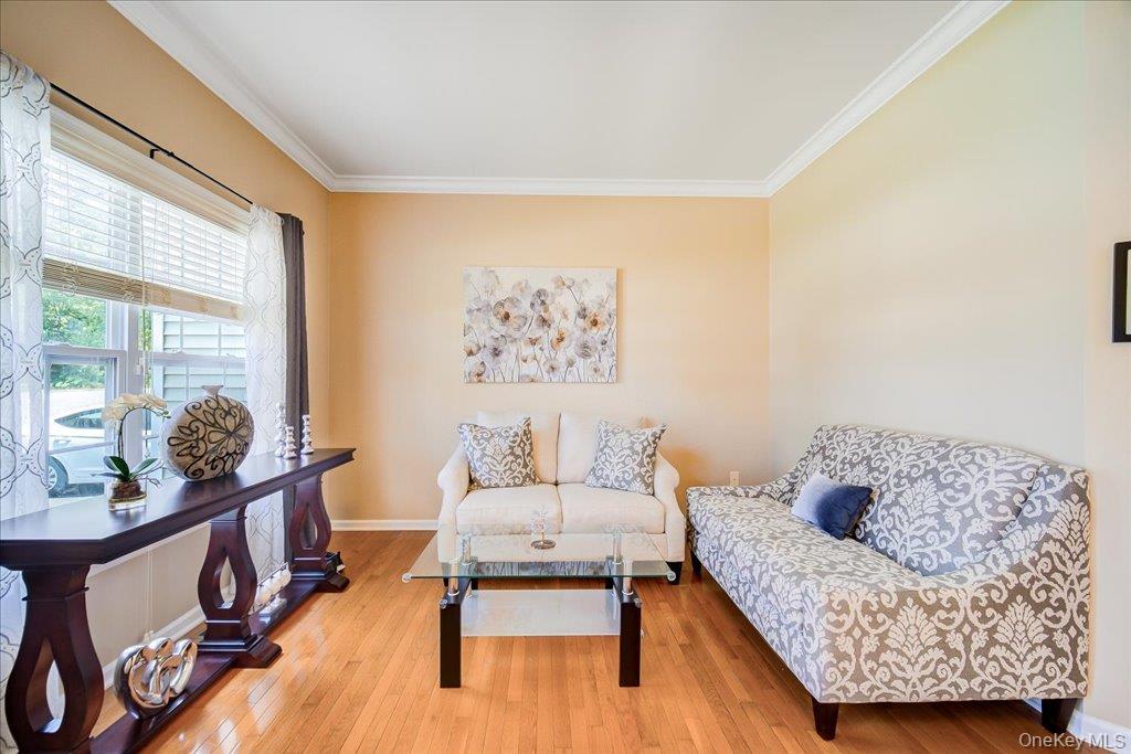 Single Family Plum Court Drive Dutchess County, NY 12570, MLS-1029091-11