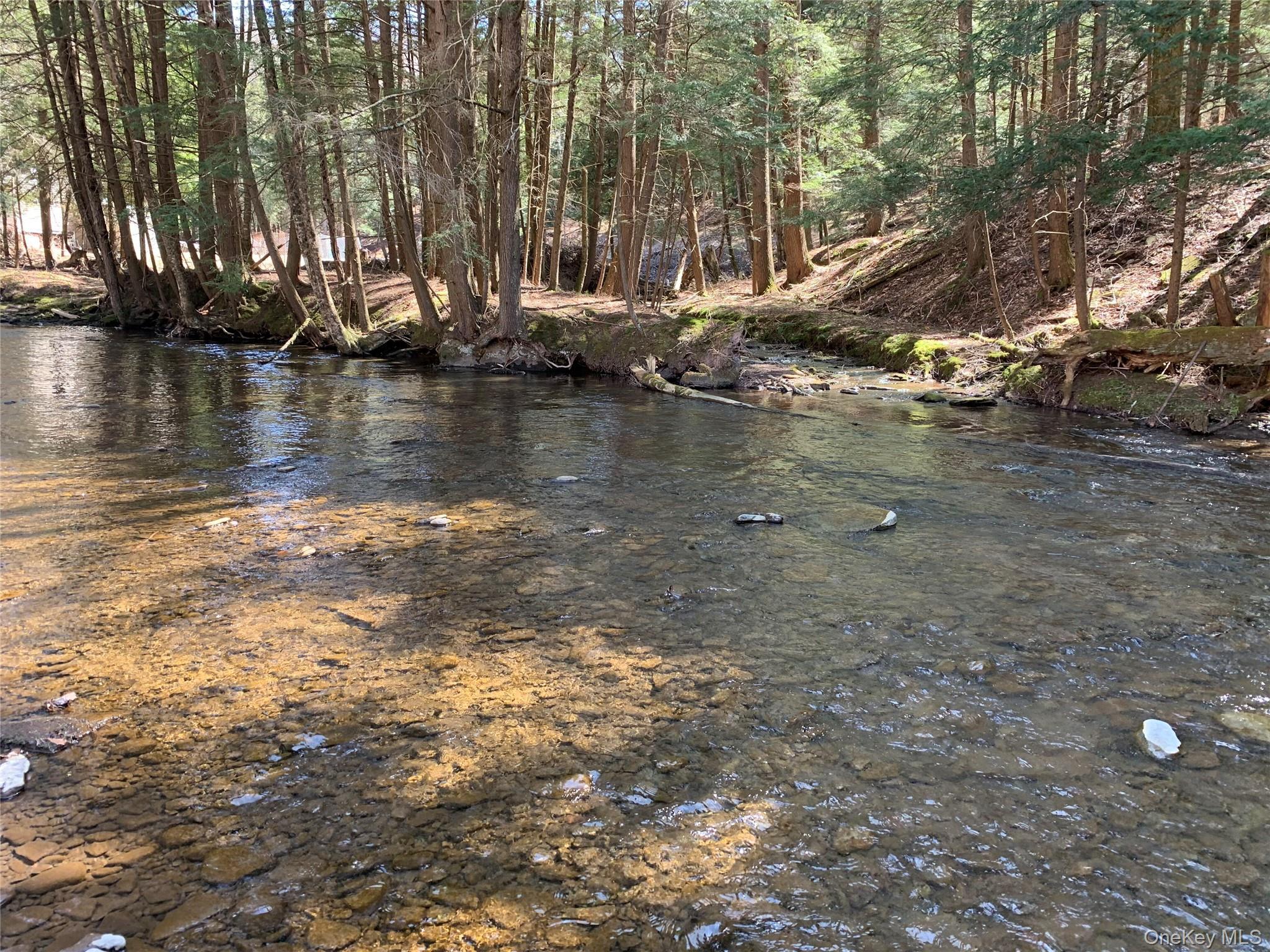 Single Family Basket Road Sullivan County, NY 12760, MLS-1029103-2