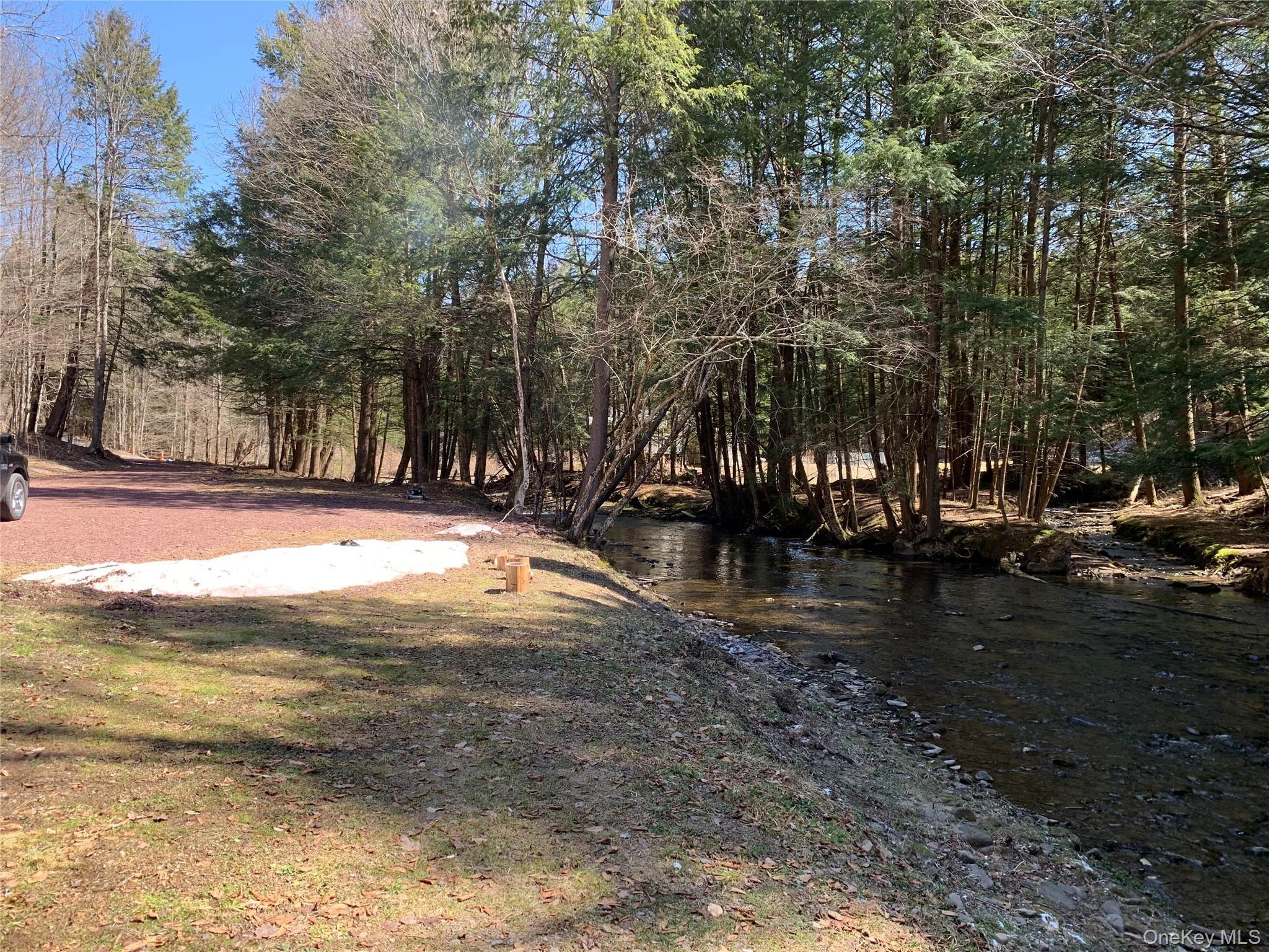 Single Family Basket Road Sullivan County, NY 12760, MLS-1029103-4