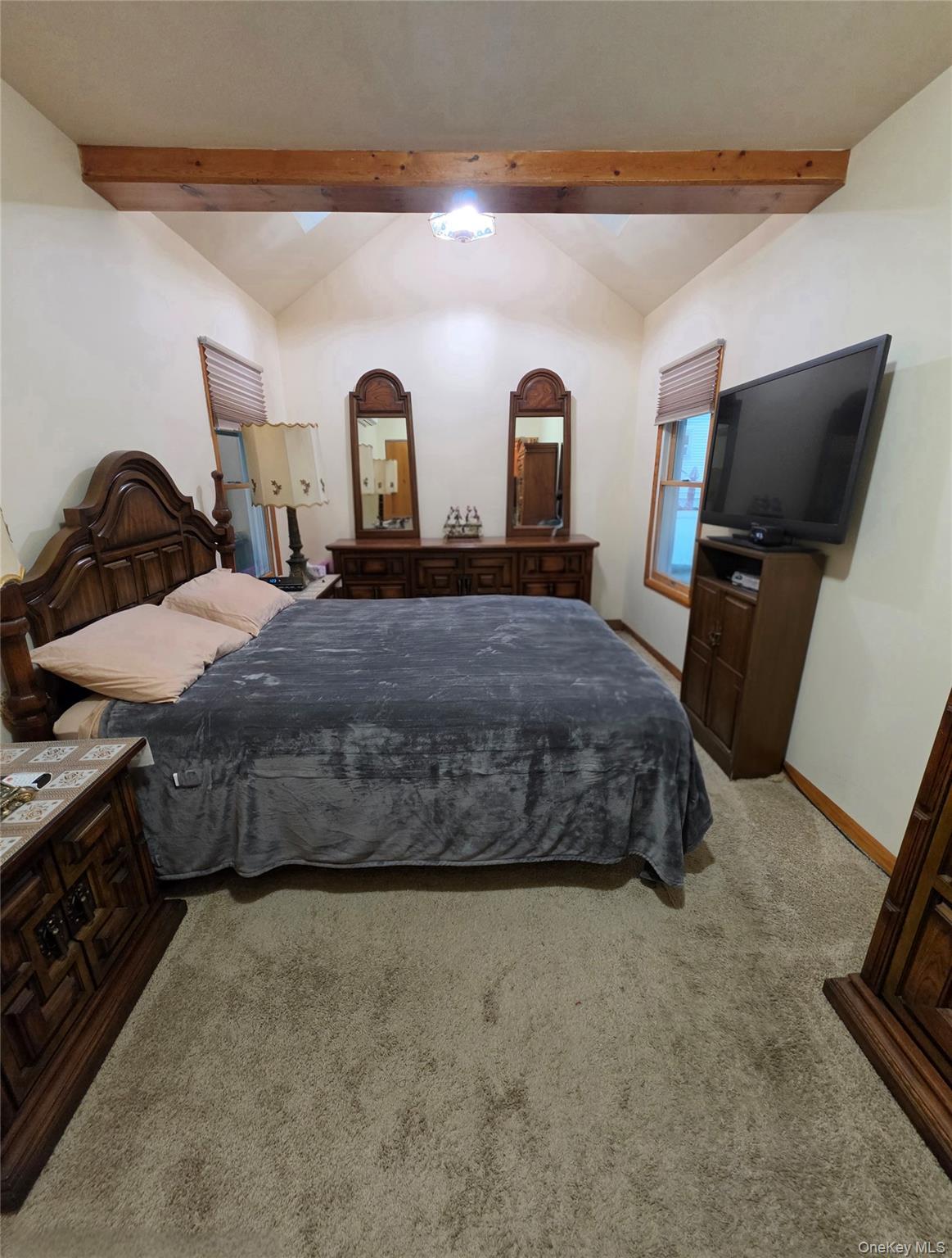 Single Family 102nd Street Queens, NY 11414, MLS-1029116-12