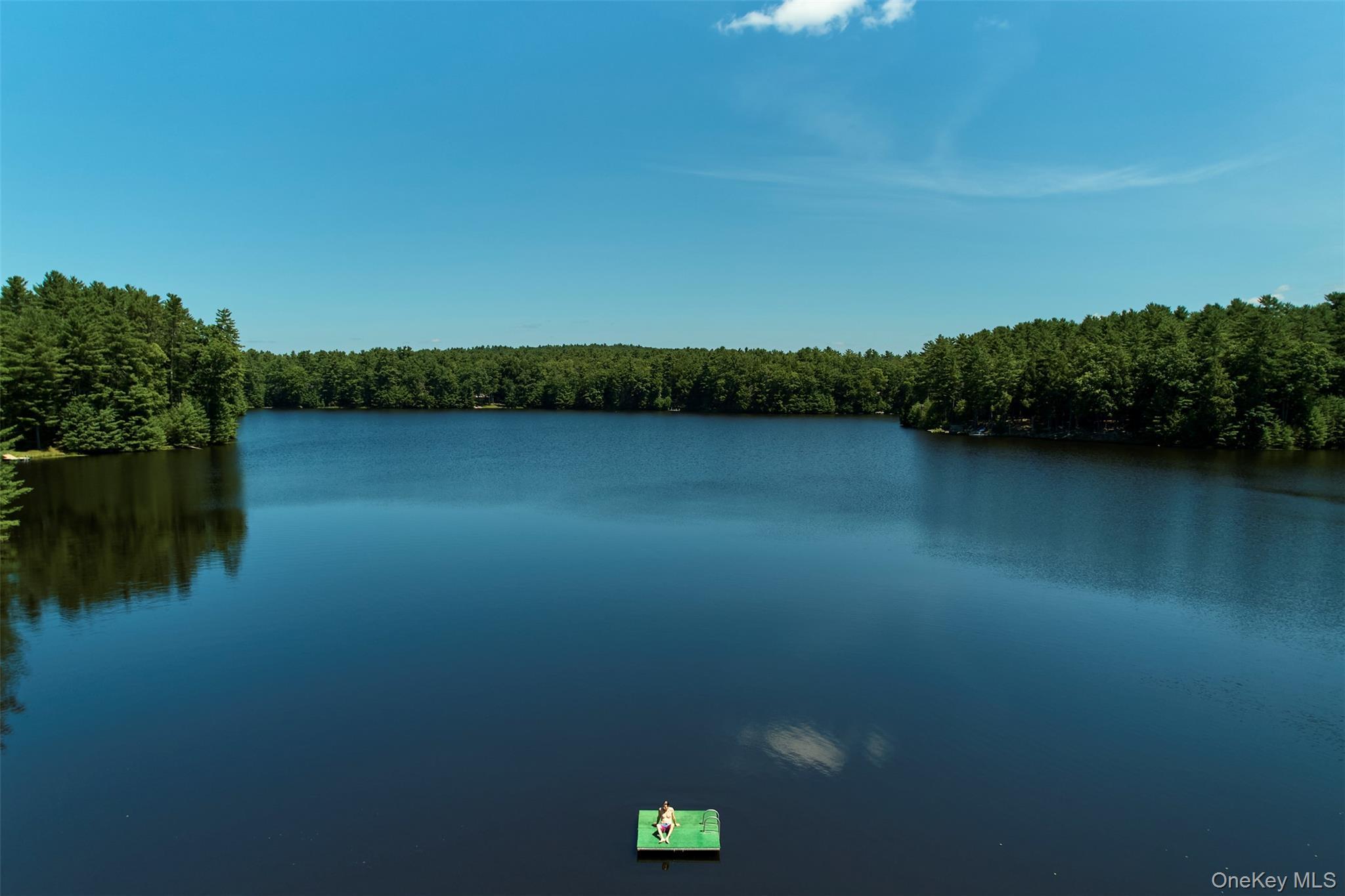 Single Family Timber Lake Drive Sullivan County, NY 12732, MLS-1029181-4