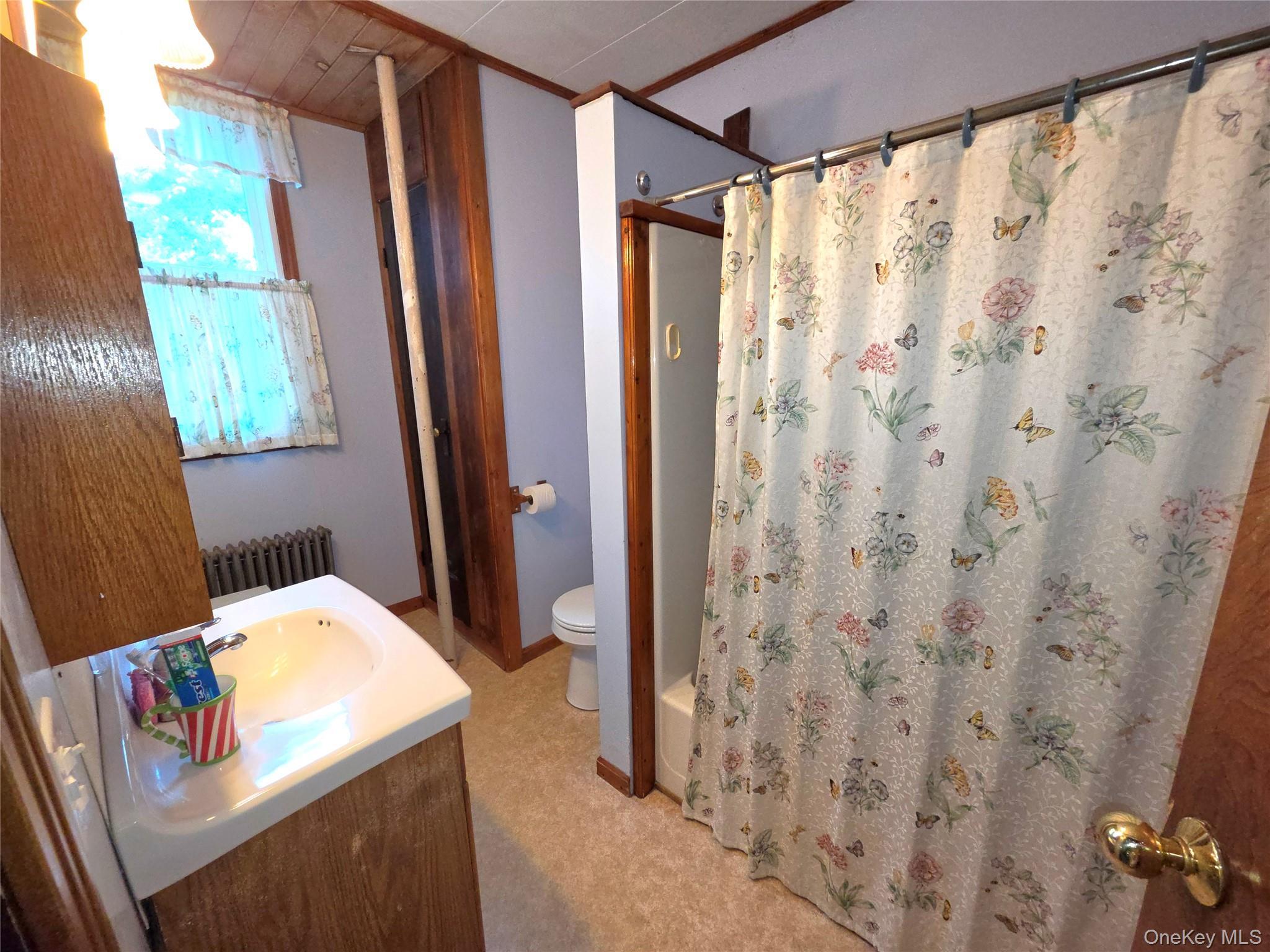 Single Family Rt 17b  Sullivan County, NY 12726, MLS-1029187-15