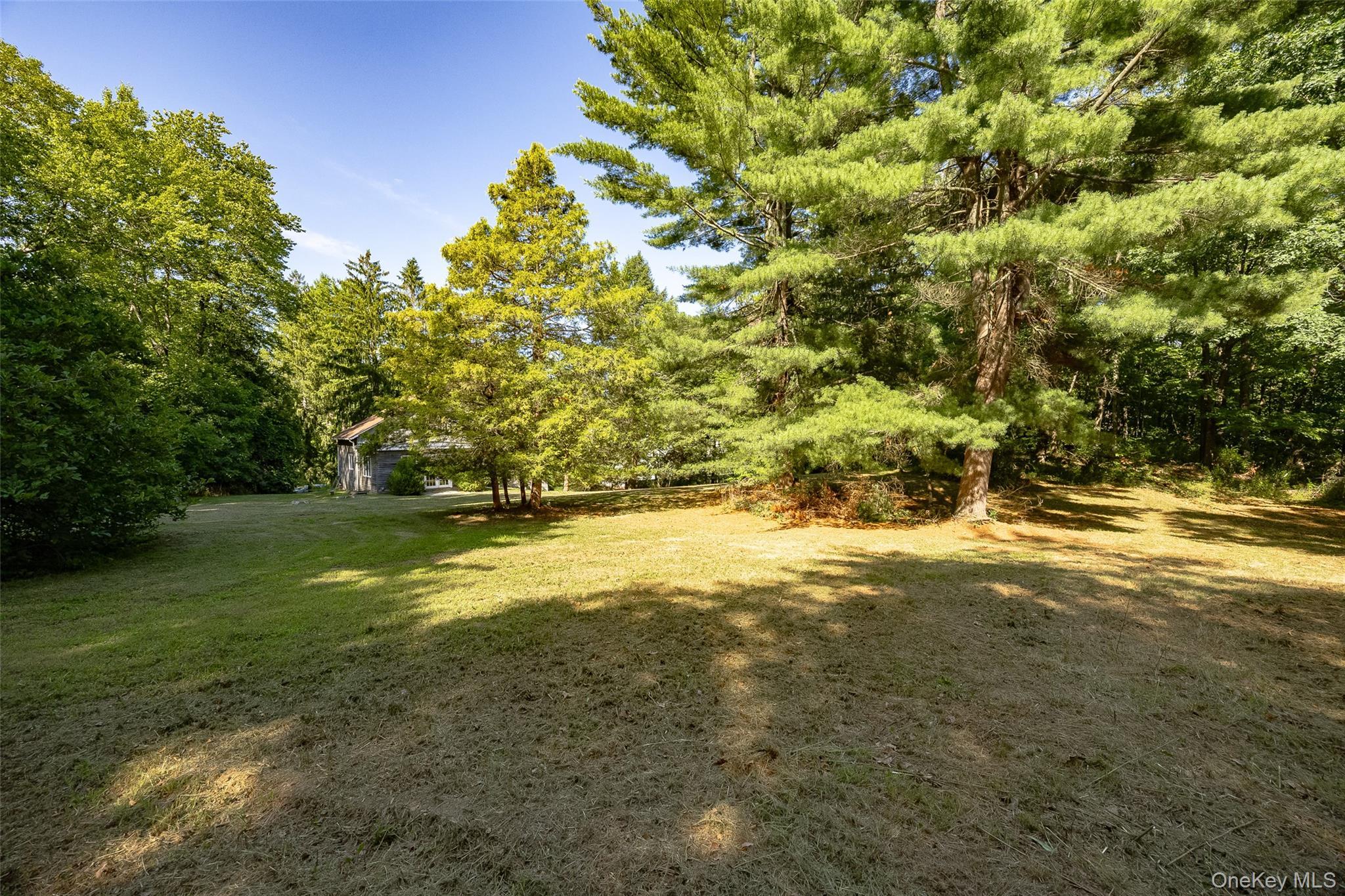 Single Family Route 55  Dutchess County, NY 12540, MLS-1029204-23