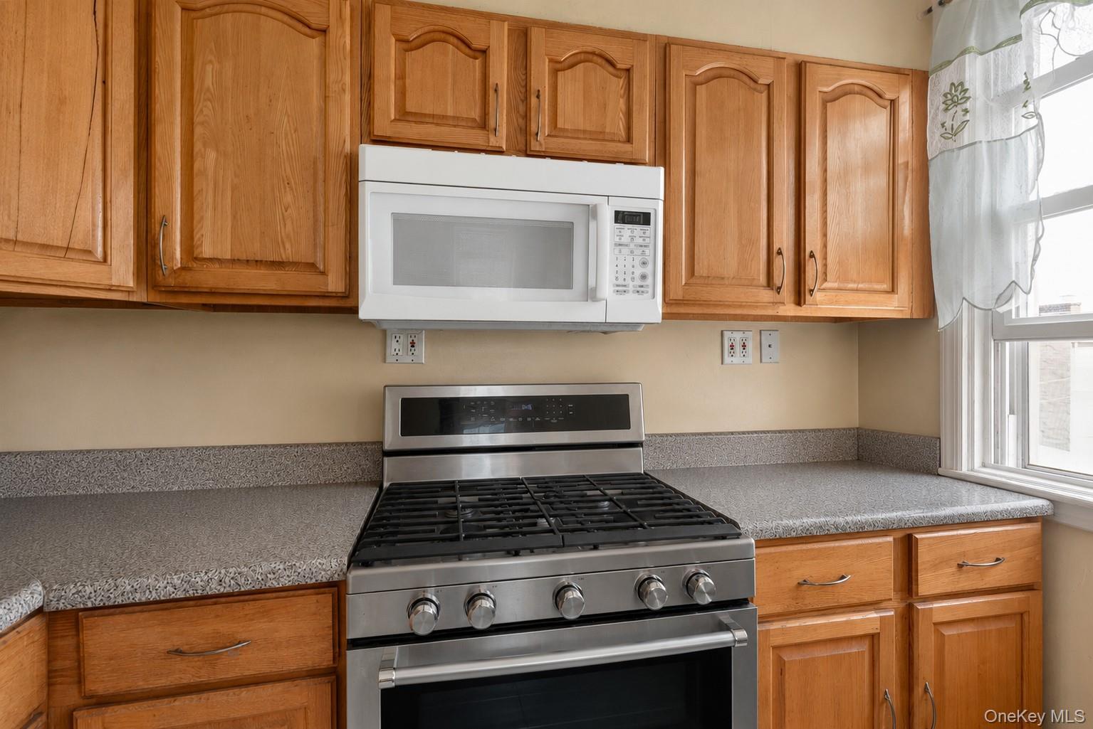 Single Family Lyon Avenue Bronx, NY 10462, MLS-1029232-5