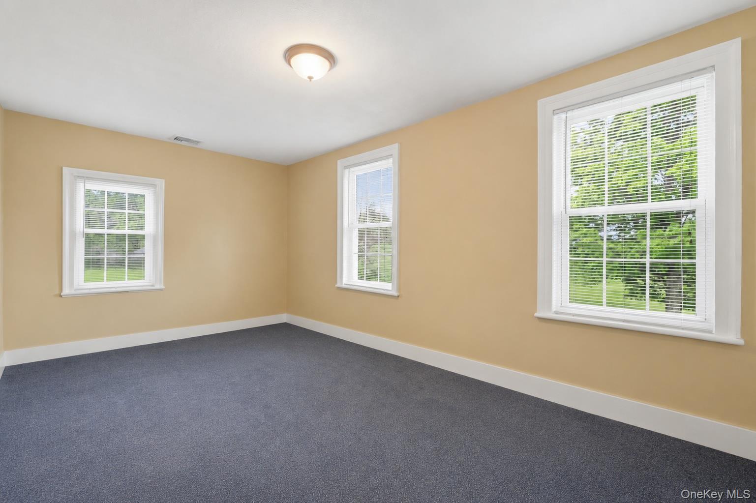 Single Family Country Club Road  Dutchess County, NY 12533, MLS-1029249-17