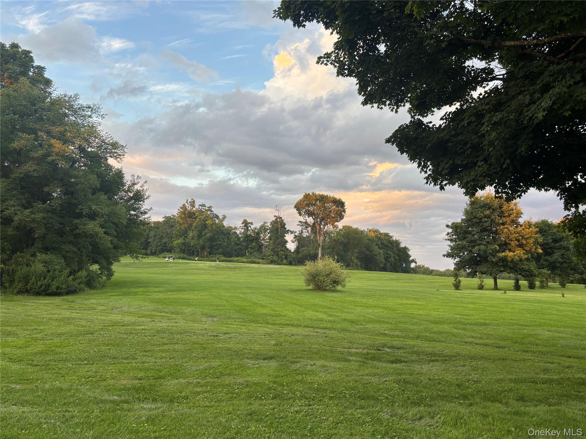 Single Family Country Club Road  Dutchess County, NY 12533, MLS-1029249-4