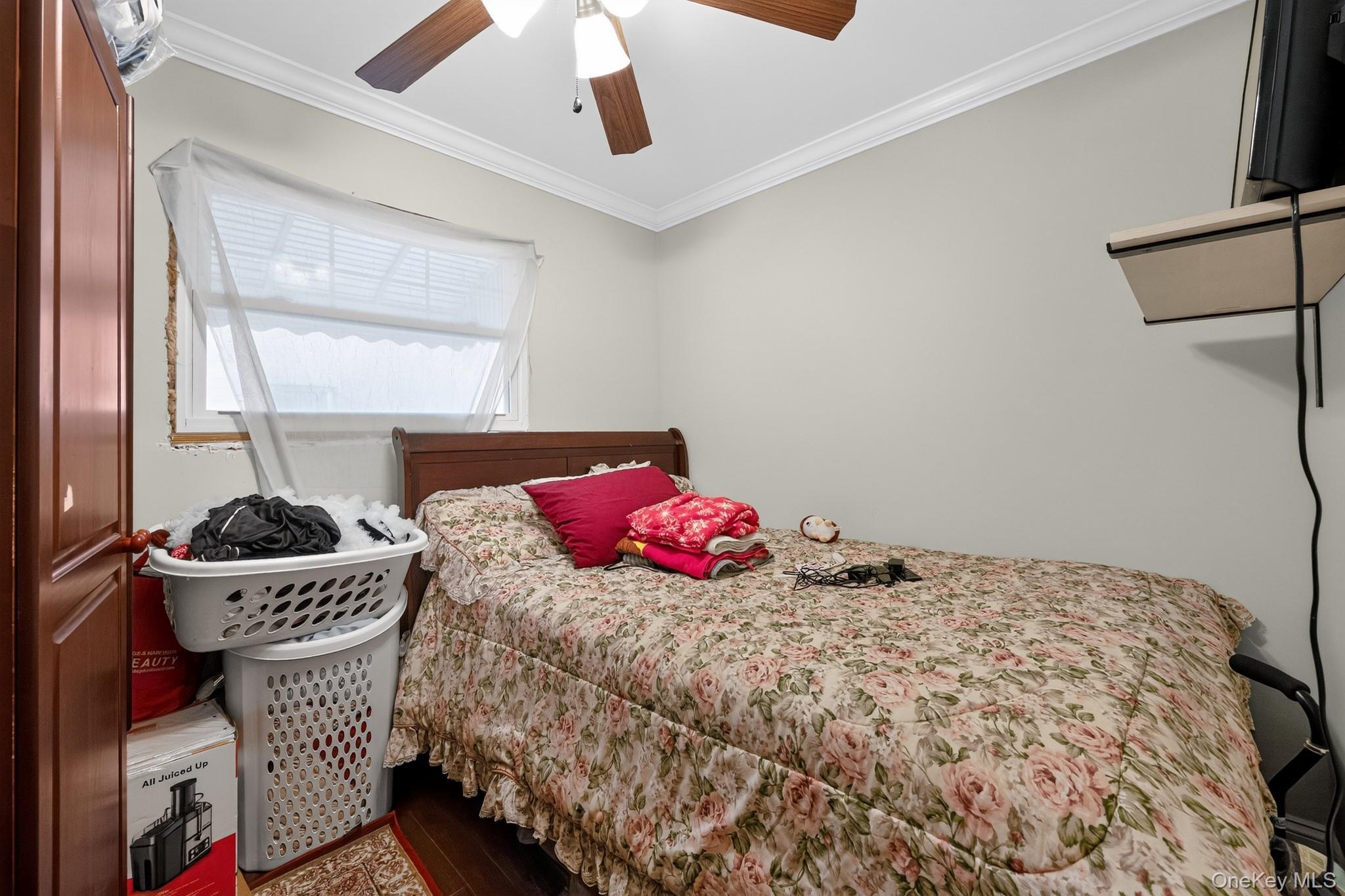 Single Family Autumn Avenue Brooklyn, NY 11208, MLS-1029252-14