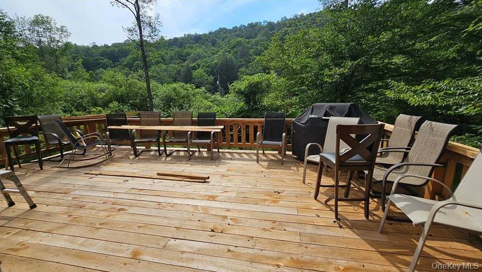 Single Family County Hwy 28 Delaware County, NY 12760, MLS-1029273-14