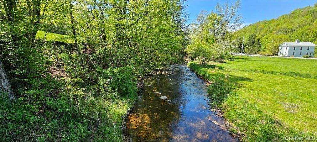 Single Family County Hwy 28 Delaware County, NY 12760, MLS-1029273-20
