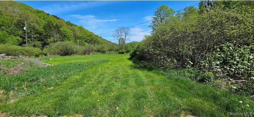 Single Family County Hwy 28 Delaware County, NY 12760, MLS-1029273-21