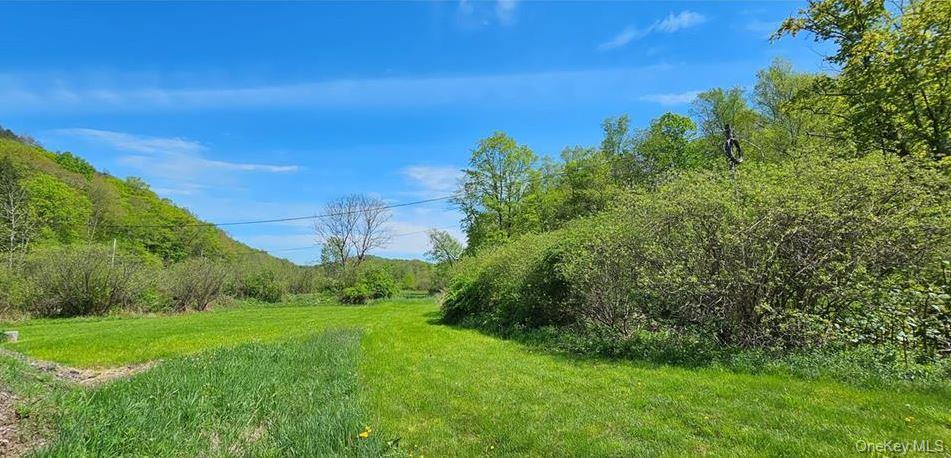 Single Family County Hwy 28 Delaware County, NY 12760, MLS-1029273-22