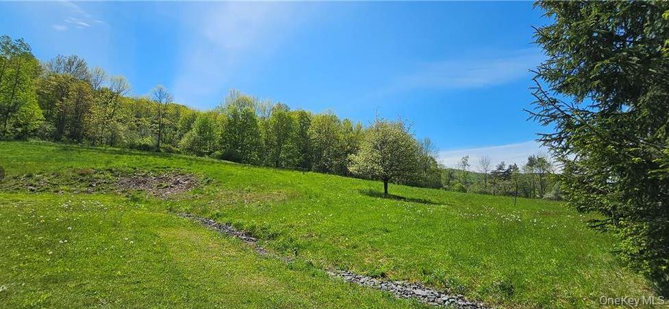Single Family County Hwy 28 Delaware County, NY 12760, MLS-1029273-23