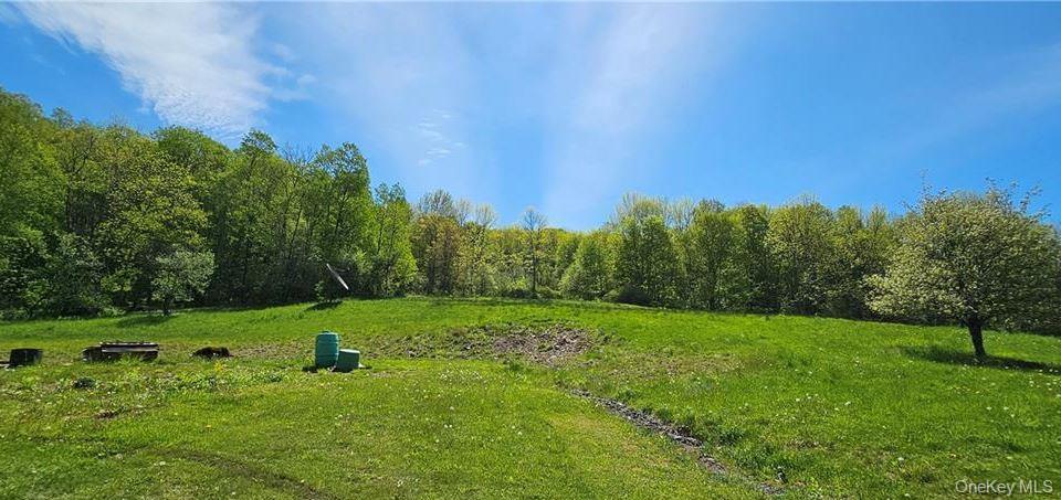 Single Family County Hwy 28 Delaware County, NY 12760, MLS-1029273-24