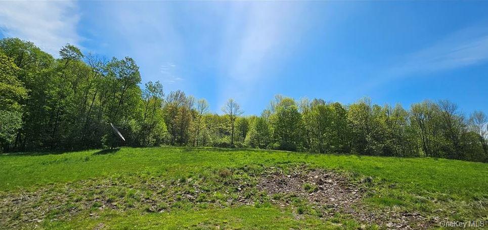 Single Family County Hwy 28 Delaware County, NY 12760, MLS-1029273-25