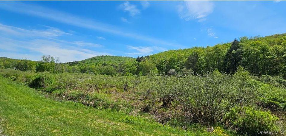Single Family County Hwy 28 Delaware County, NY 12760, MLS-1029273-26