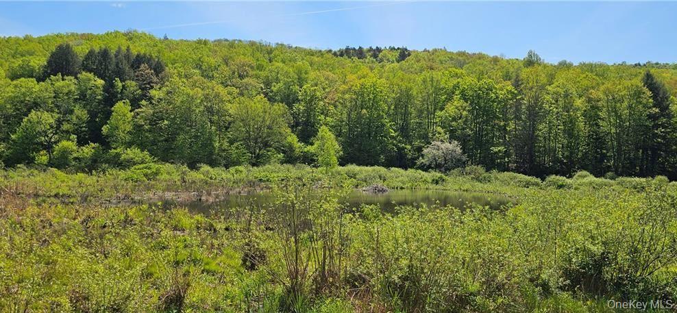 Single Family County Hwy 28 Delaware County, NY 12760, MLS-1029273-27