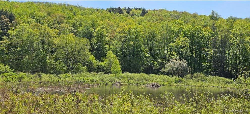 Single Family County Hwy 28  Delaware County, NY 12760, MLS-1029273-28