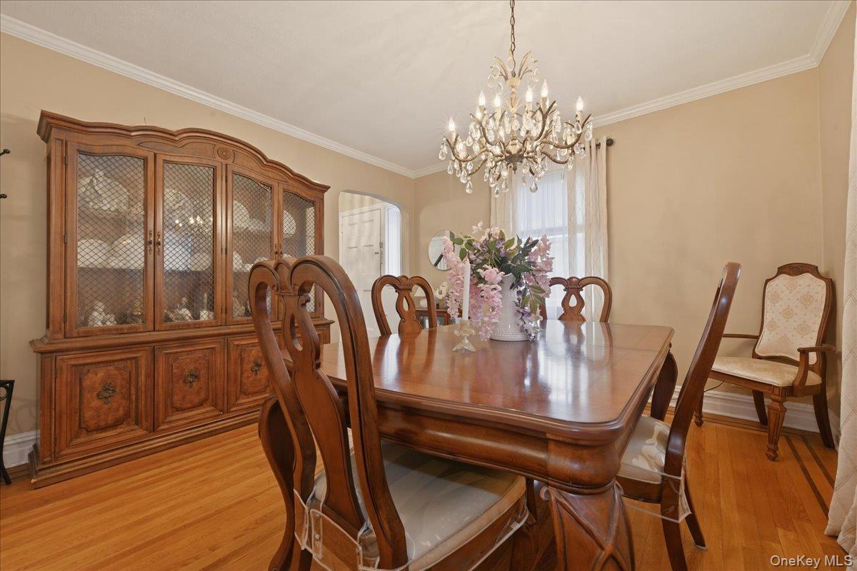 Single Family Locust Street  Nassau County, NY 11001, MLS-1029276-6