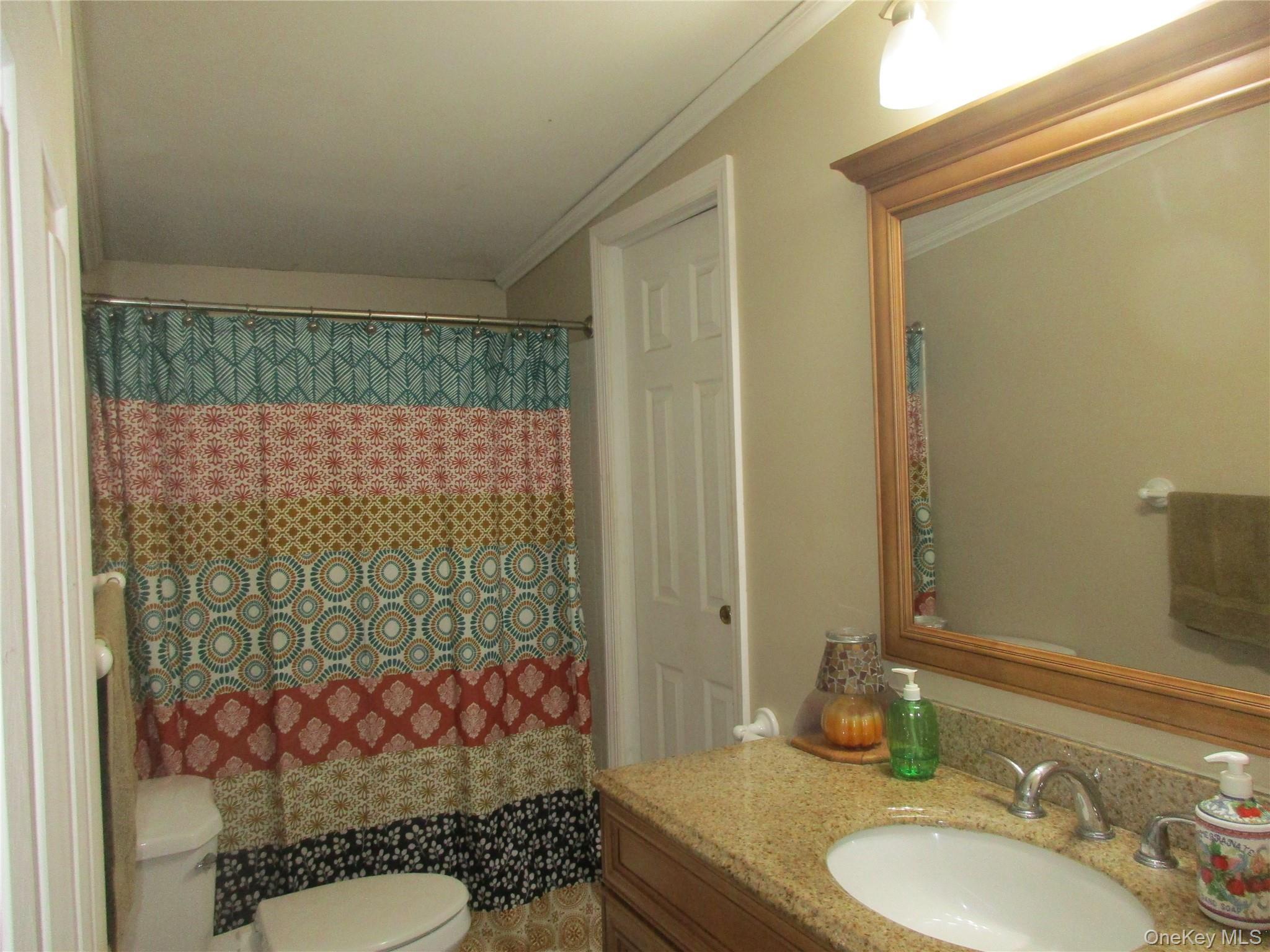 Single Family Sleepy Hollow Road Orange County, NY 12771, MLS-1029290-19